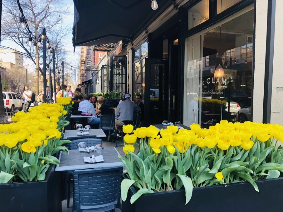 IMG_2867.jpg?type=w966