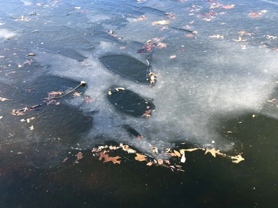 IMG_7919.jpg?type=w966