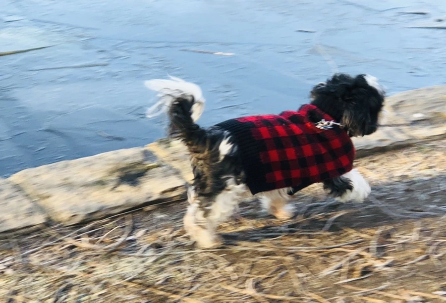 IMG_2279.jpg?type=w966