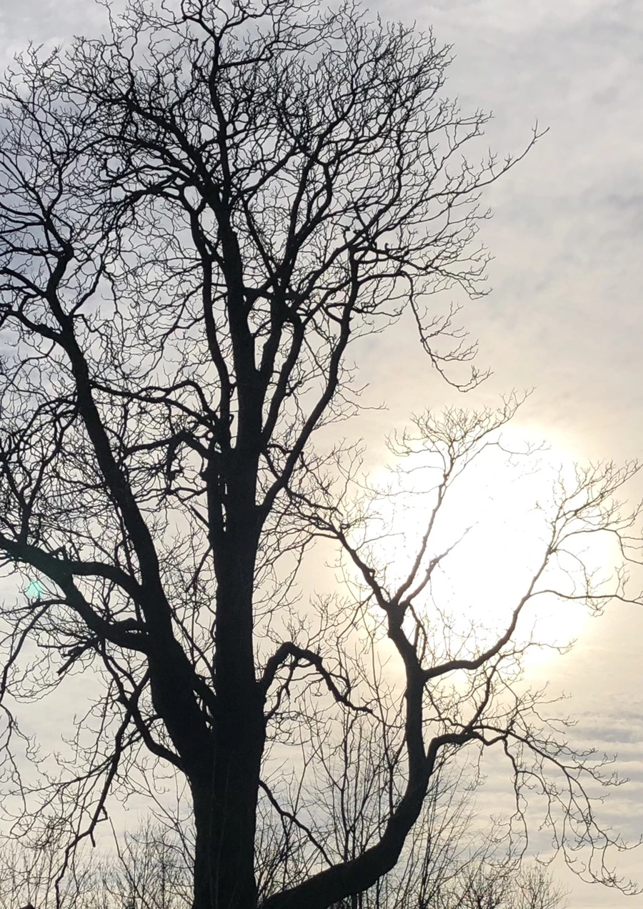 IMG_0412.jpg?type=w966