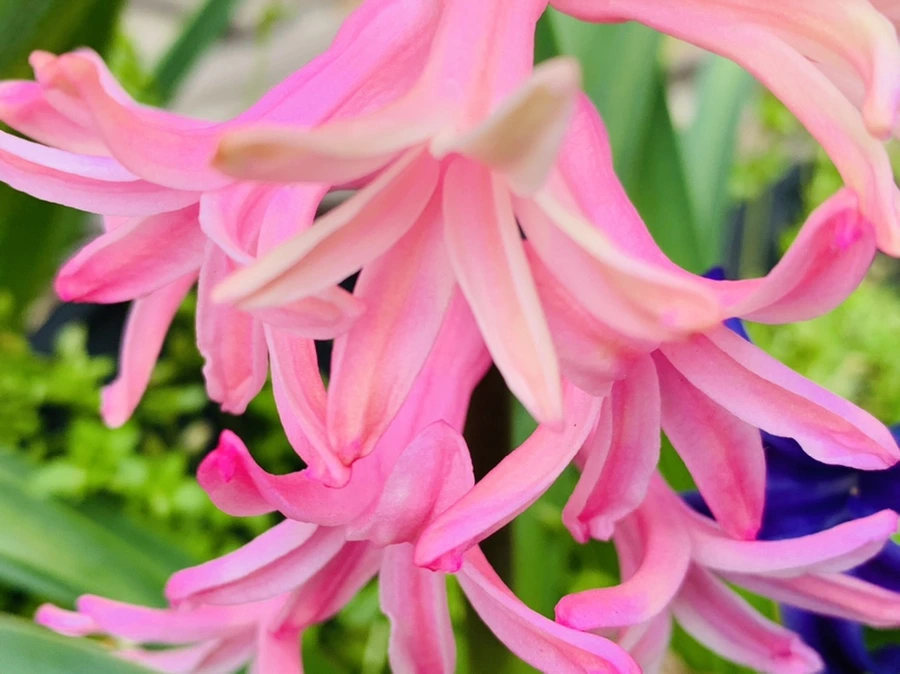 IMG_5874.jpg?type=w966