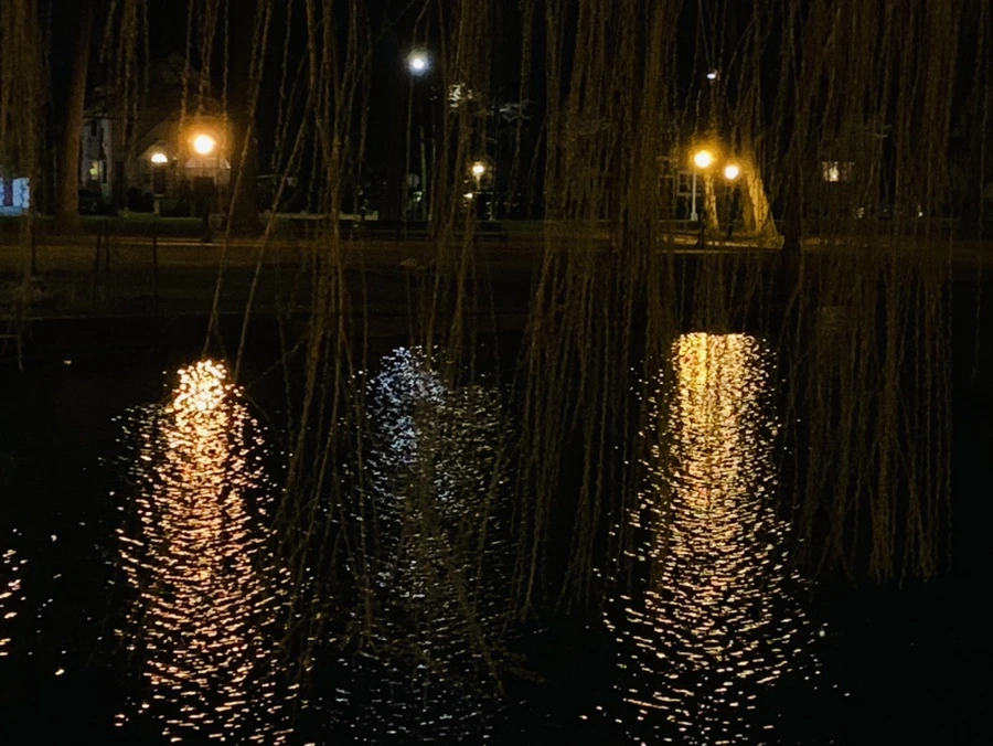 IMG_4597.jpg?type=w966