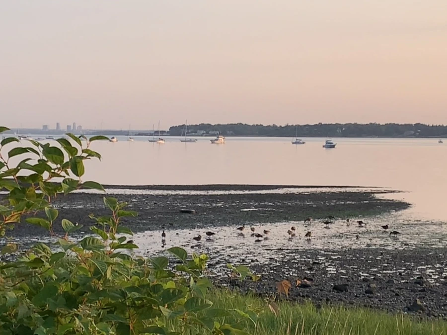 IMG_9587.jpg?type=w966