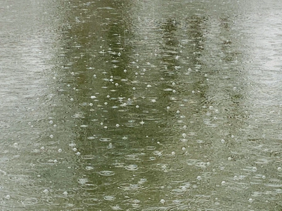 IMG_2096.jpg?type=w966