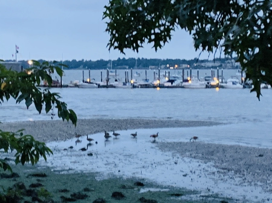 IMG_6702.jpg?type=w966