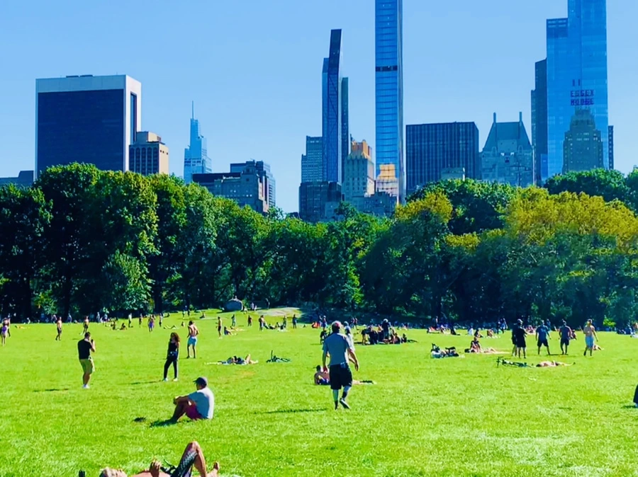 IMG_7636.jpg?type=w966