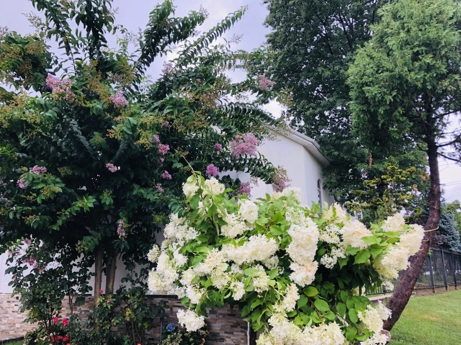 IMG_5832.jpg?type=w966