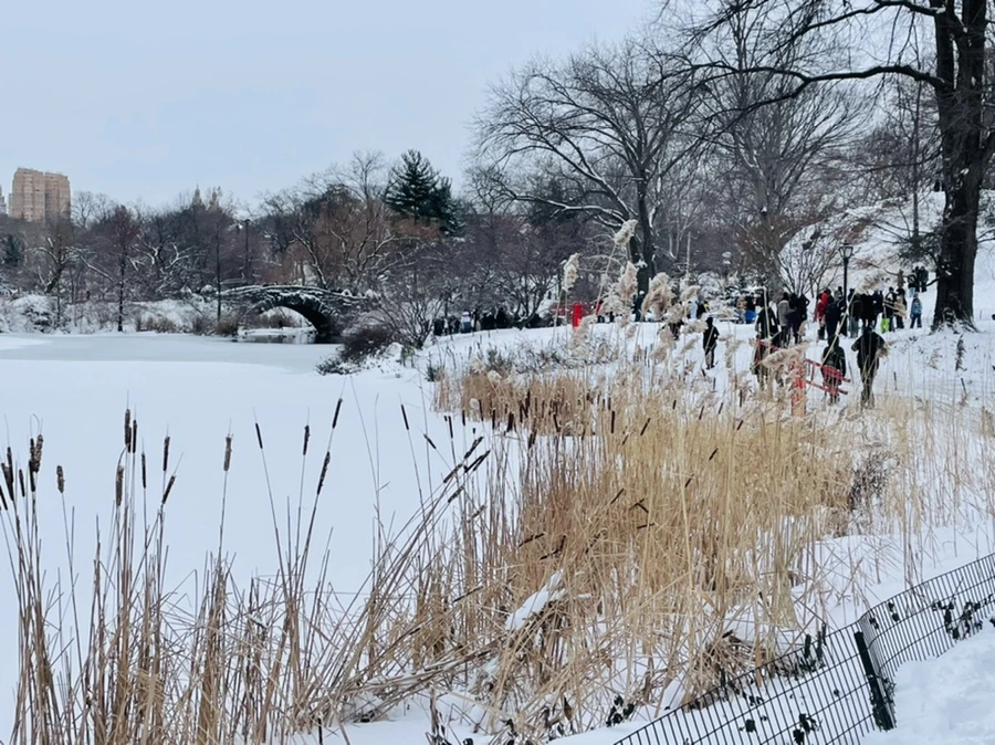 IMG_0806.jpg?type=w966