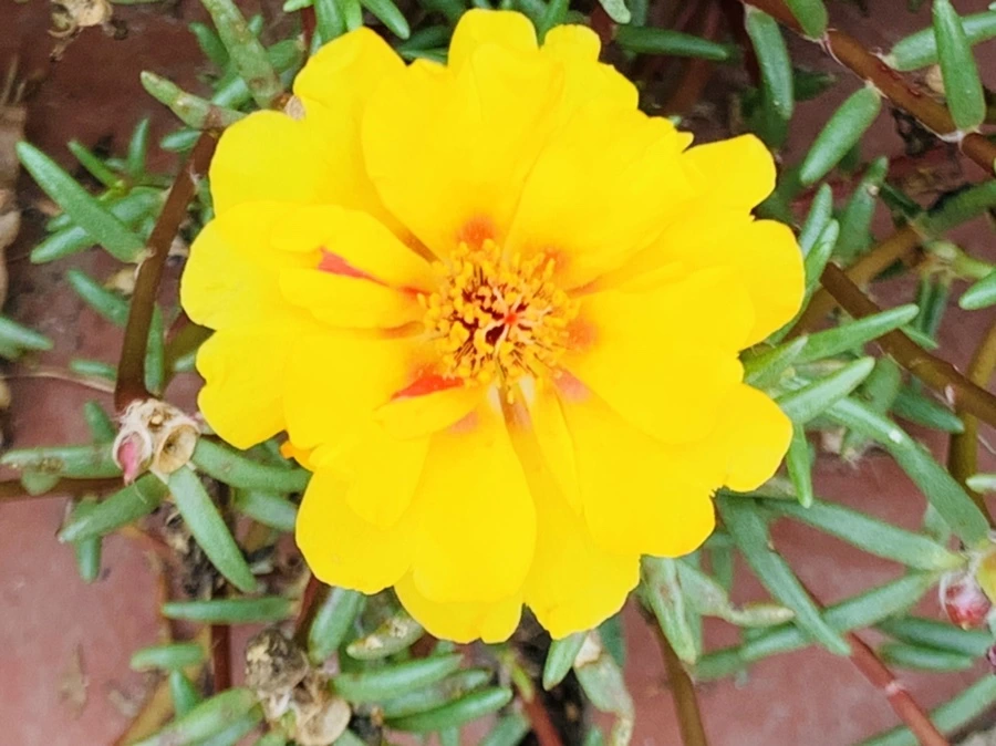 IMG_5917.jpg?type=w966