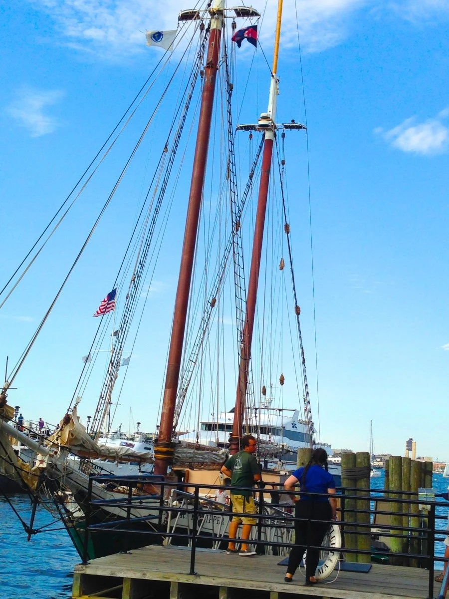 IMG_0624.jpg?type=w1