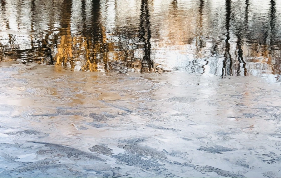 IMG_0790.jpg?type=w966