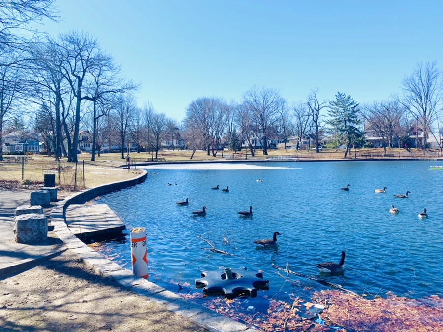 IMG_6651.jpg?type=w966