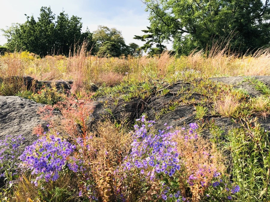 IMG_1592.jpg?type=w966