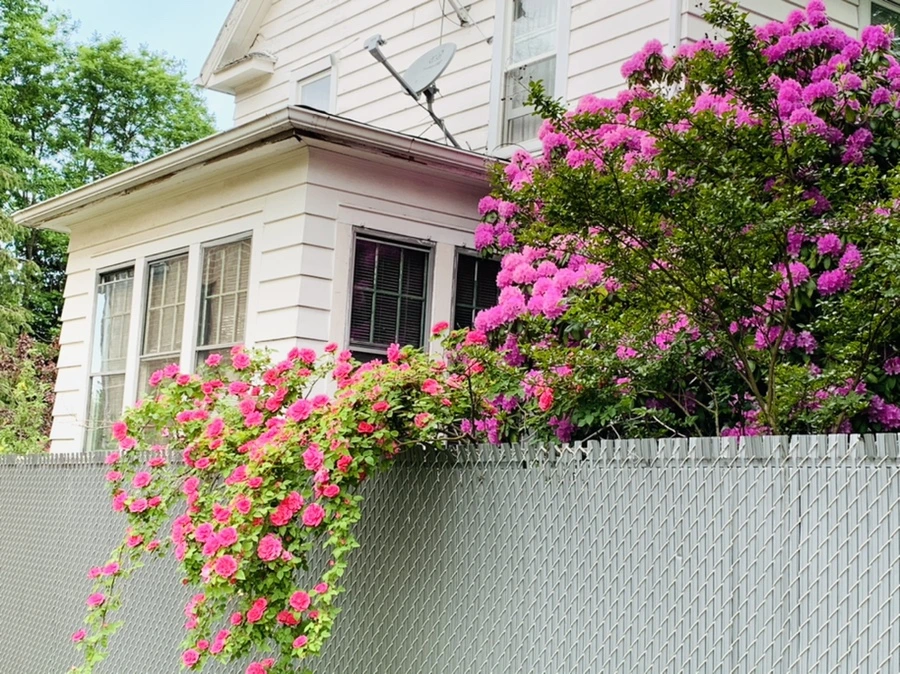 IMG_5482.jpg?type=w966