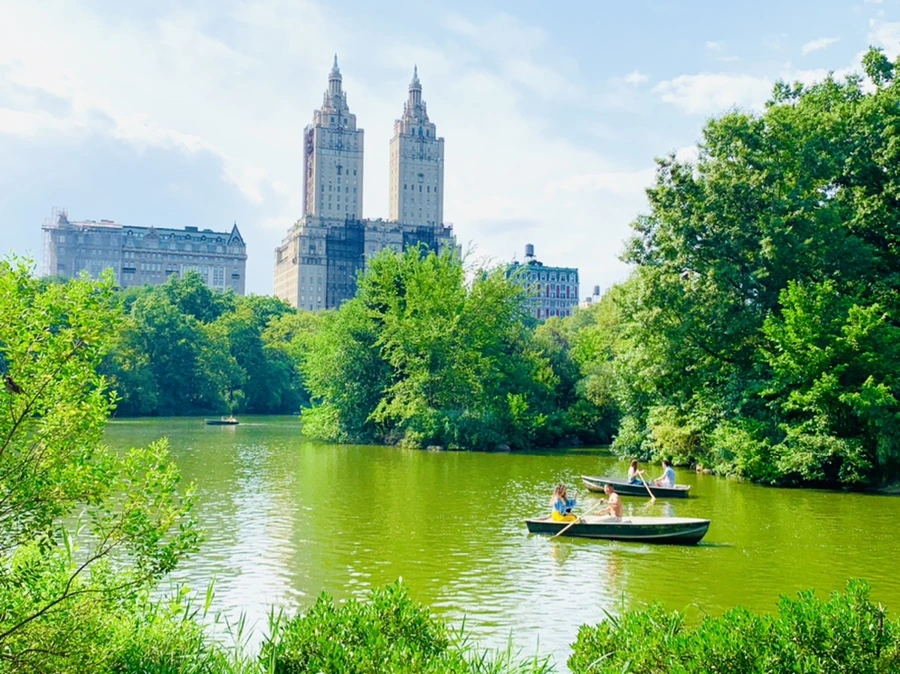 IMG_0655.jpg?type=w966