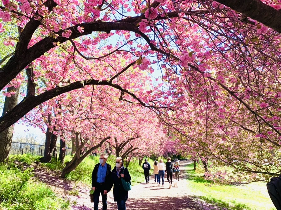 IMG_5975.jpg?type=w966