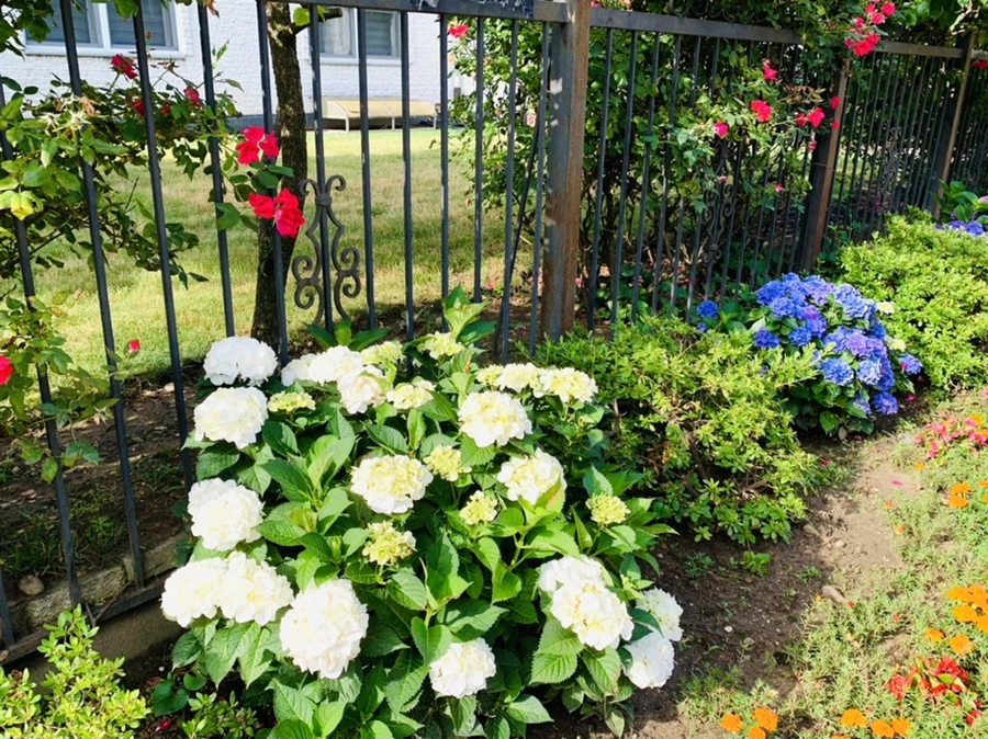 IMG_0347.jpg?type=w966