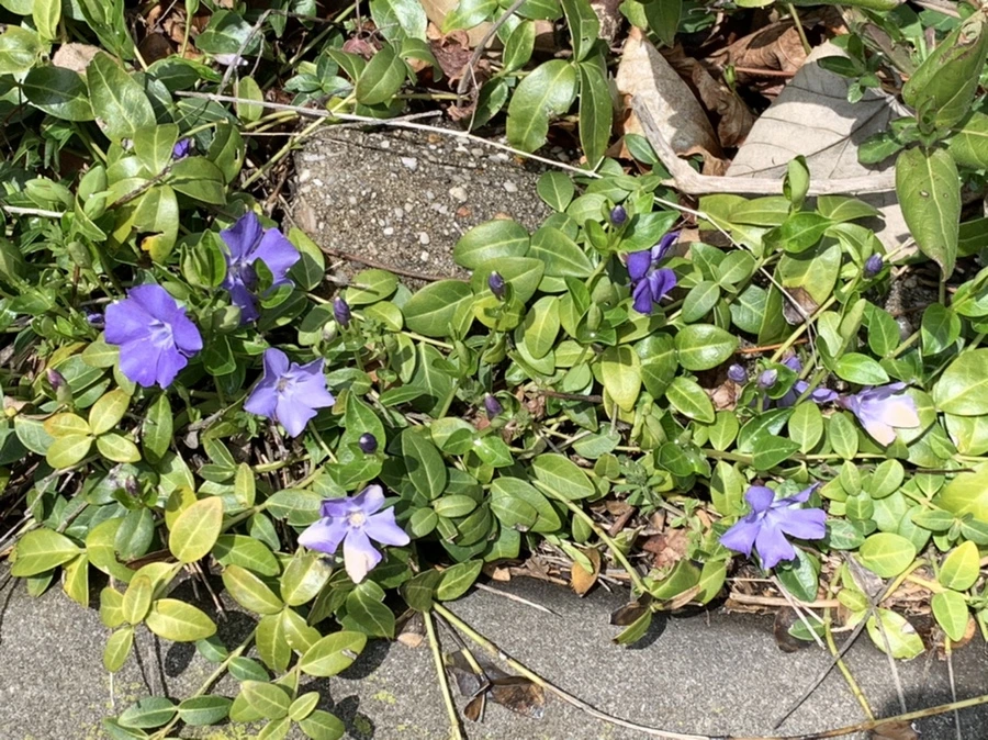 IMG_4025.jpg?type=w966