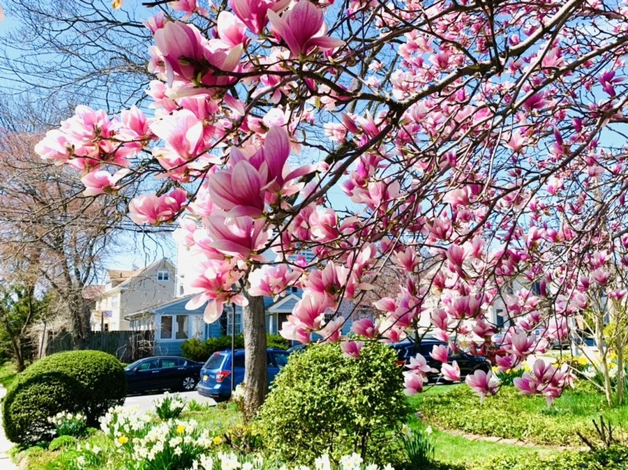 F-9LqXbuYL0ME_ZZnNIIgdEqAxY