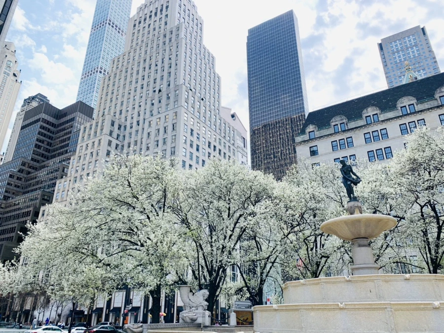 IMG_9469.jpg?type=w966