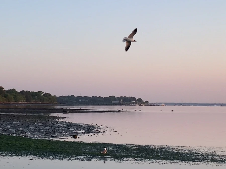 IMG_0152.jpg?type=w966