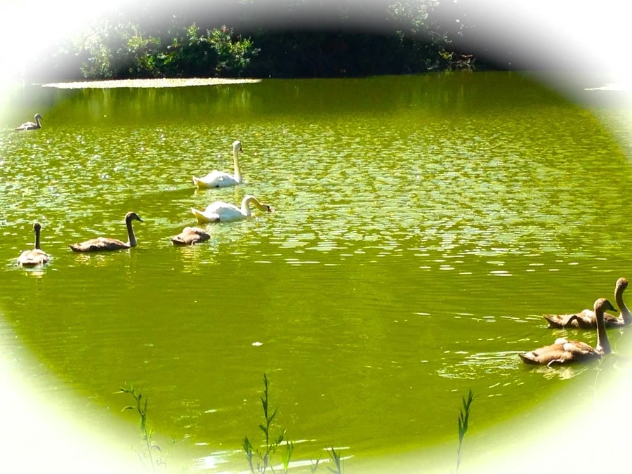 IMG_9001.JPG?type=w1