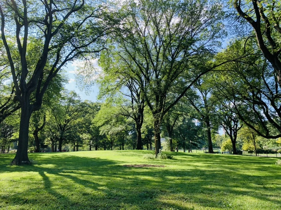 IMG_9717.jpg?type=w966