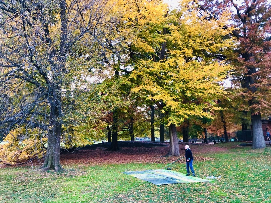 IMG_4197.jpg?type=w966