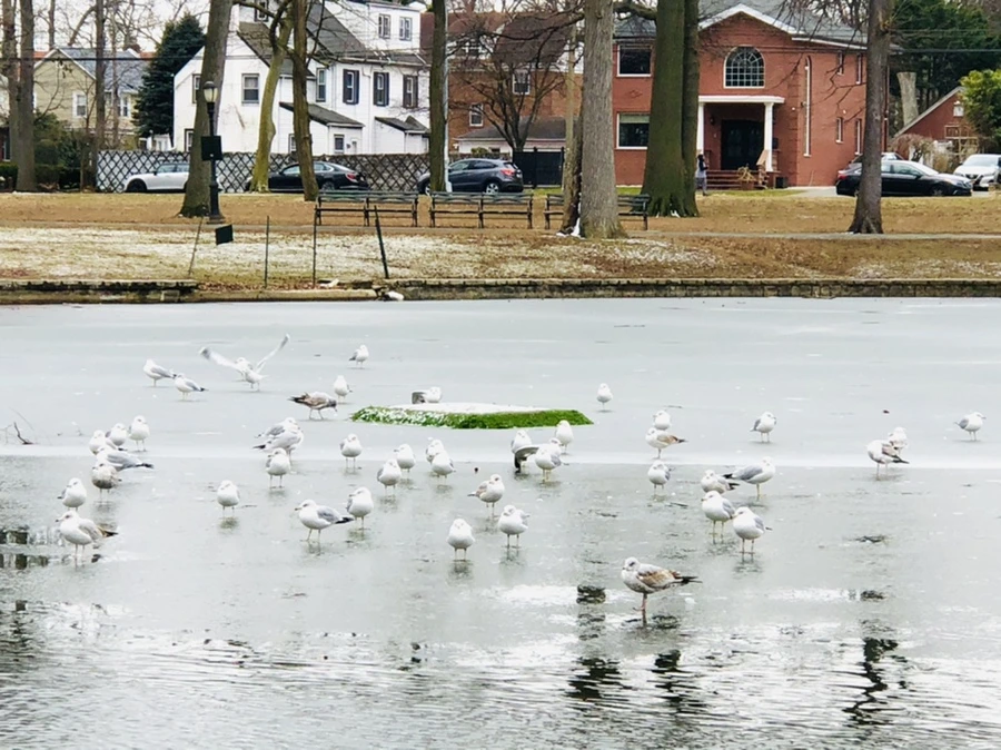 IMG_6396.jpg?type=w966