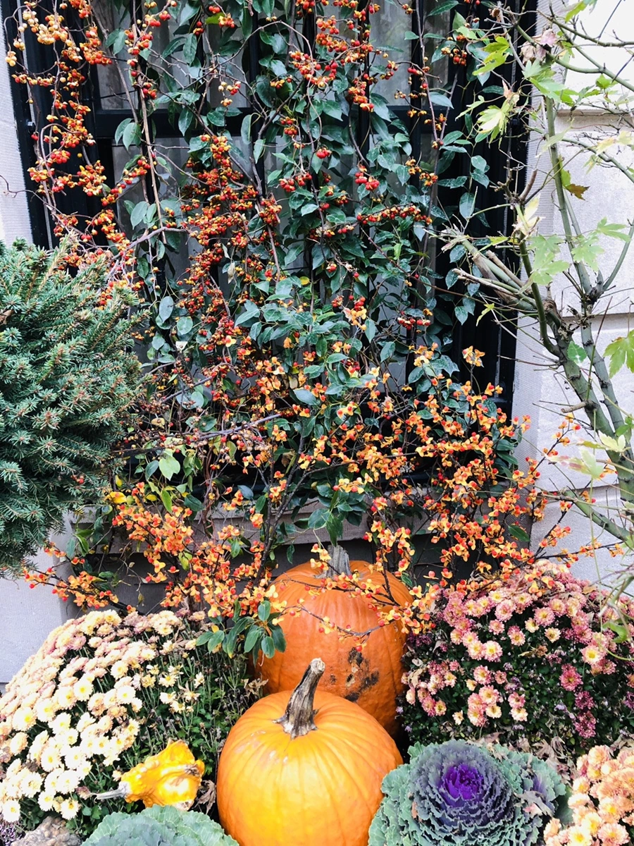 IMG_4895.jpg?type=w966