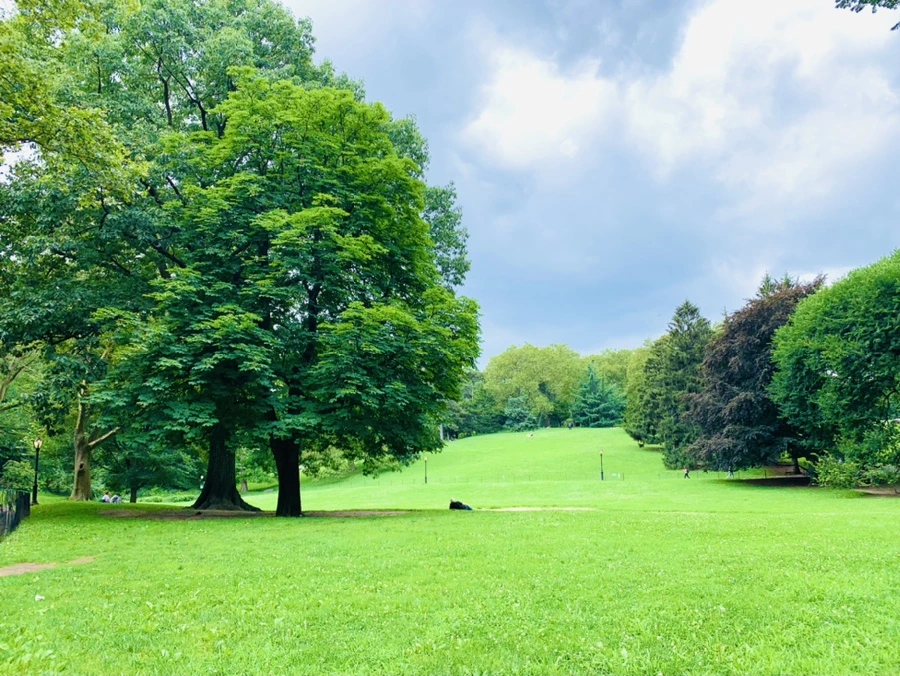 IMG_7949.jpg?type=w966