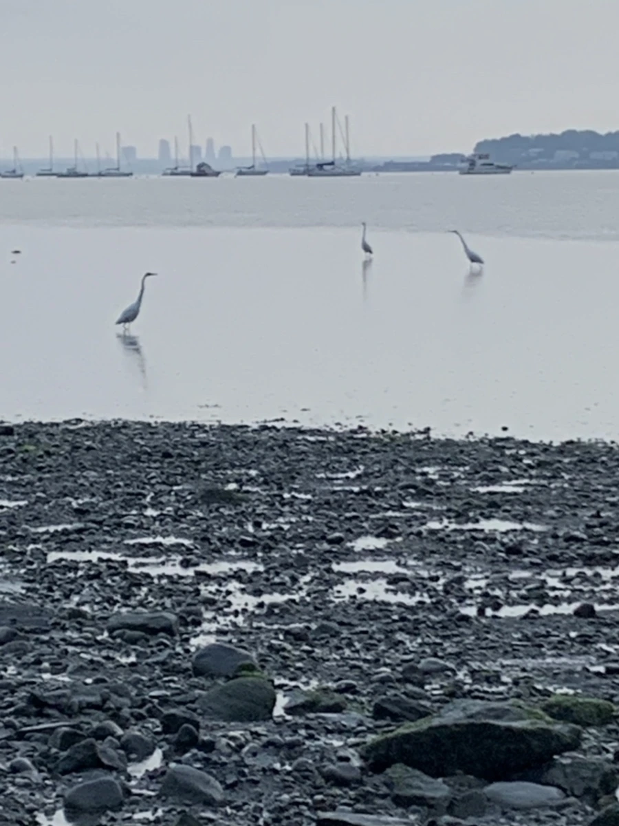 IMG_8107.jpg?type=w966