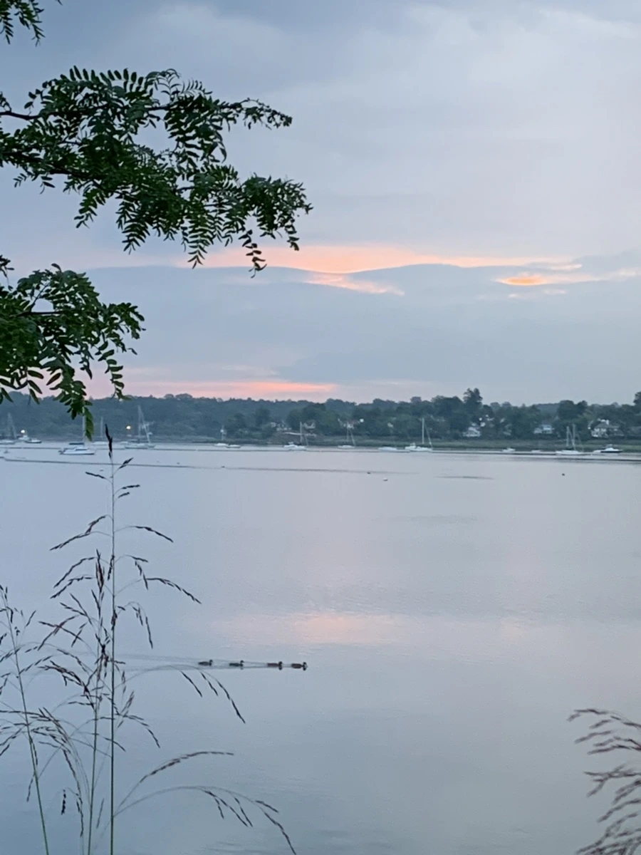 IMG_0161.jpg?type=w966