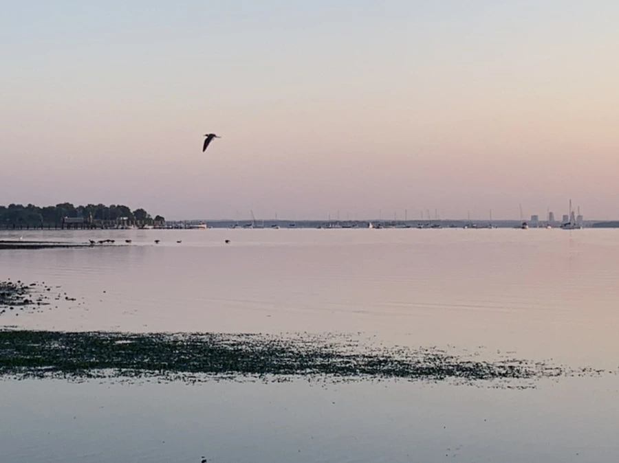 IMG_0146.jpg?type=w966