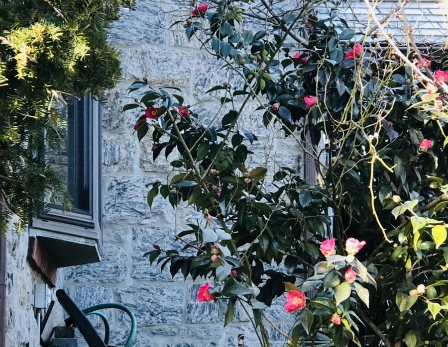 IMG_1381.jpg?type=w966