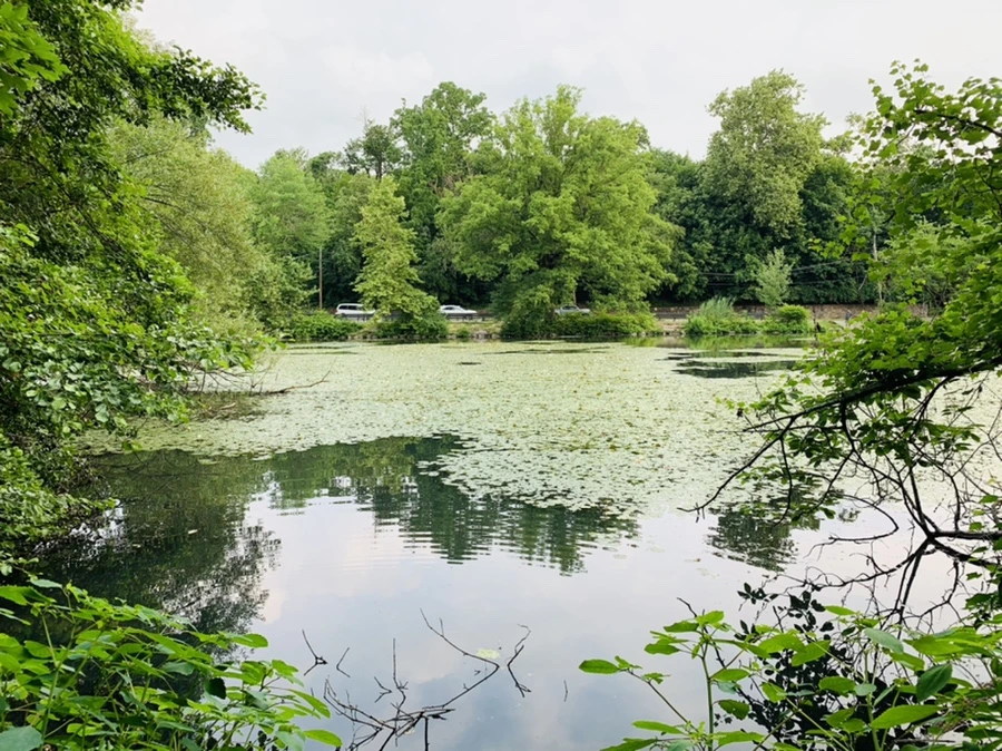 IMG_1475.jpg?type=w966