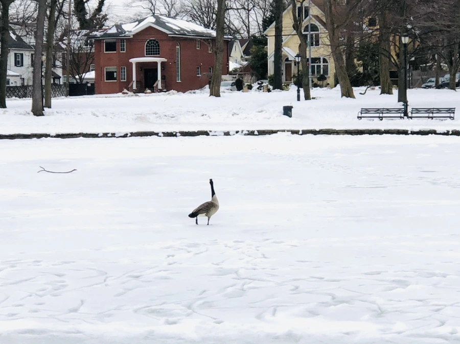 IMG_2722.jpg?type=w966