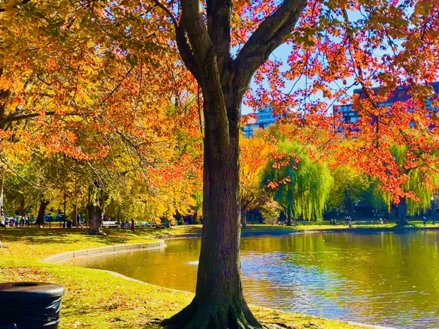 IMG_2554.jpg?type=w966