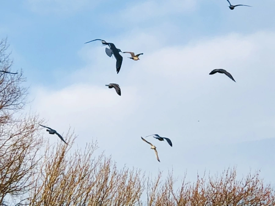 IMG_0846.jpg?type=w966