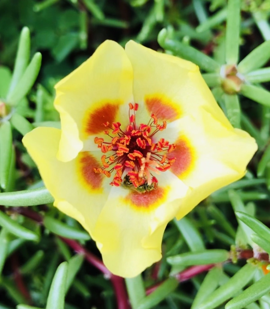 IMG_1457.jpg?type=w966