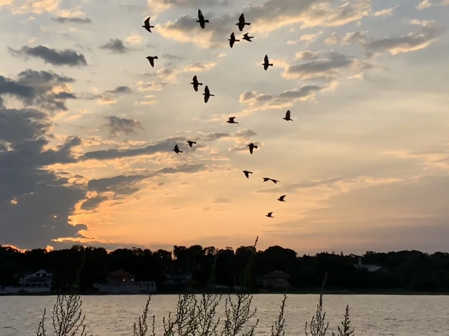 IMG_1725.jpg?type=w966