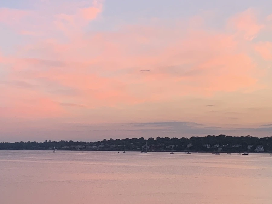 IMG_8741.jpg?type=w966