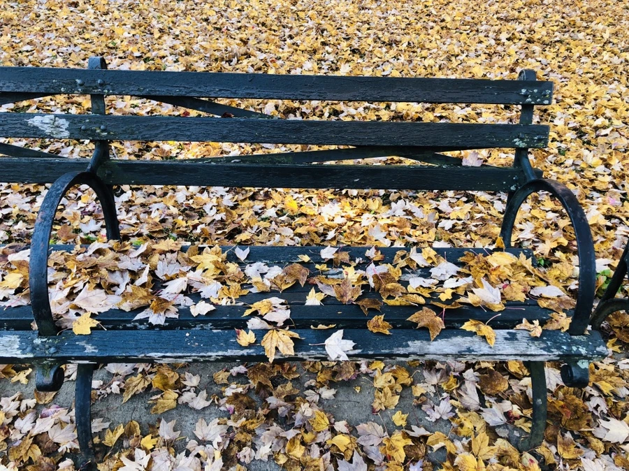 IMG_4109.jpg?type=w966