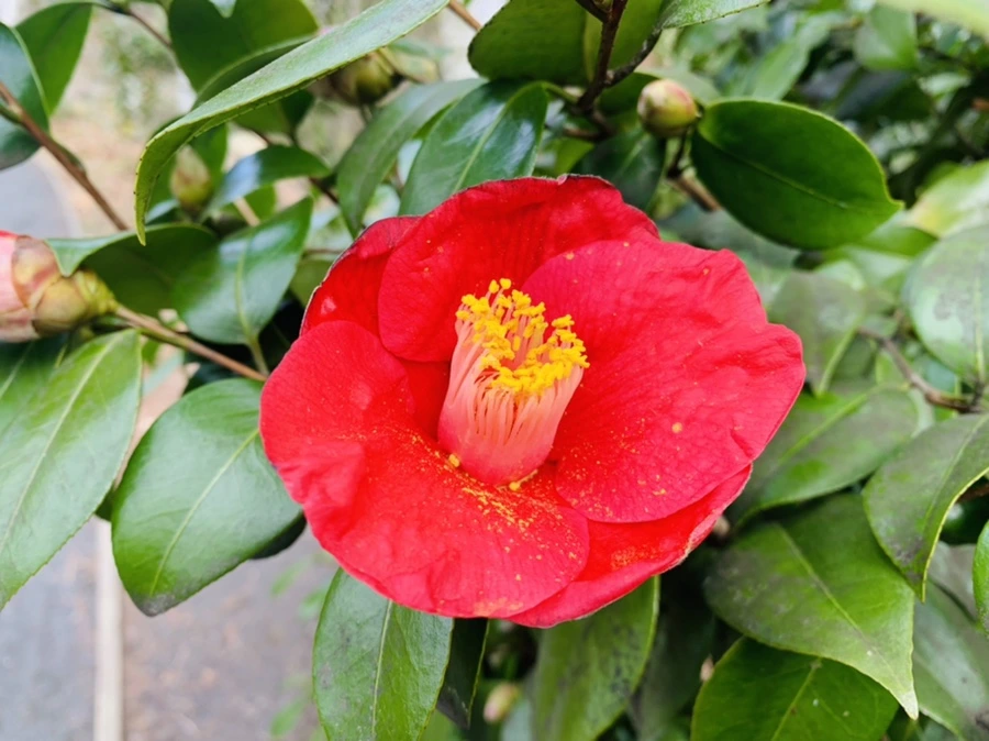 IMG_6441.jpg?type=w966