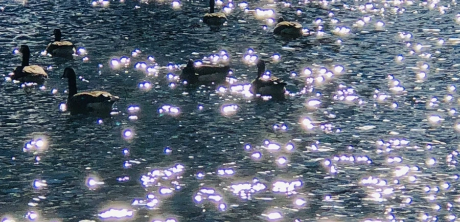 IMG_9197.jpg?type=w966