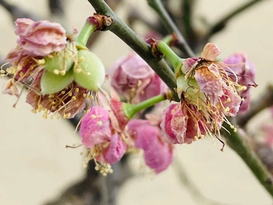 IMG_4189.jpg?type=w966