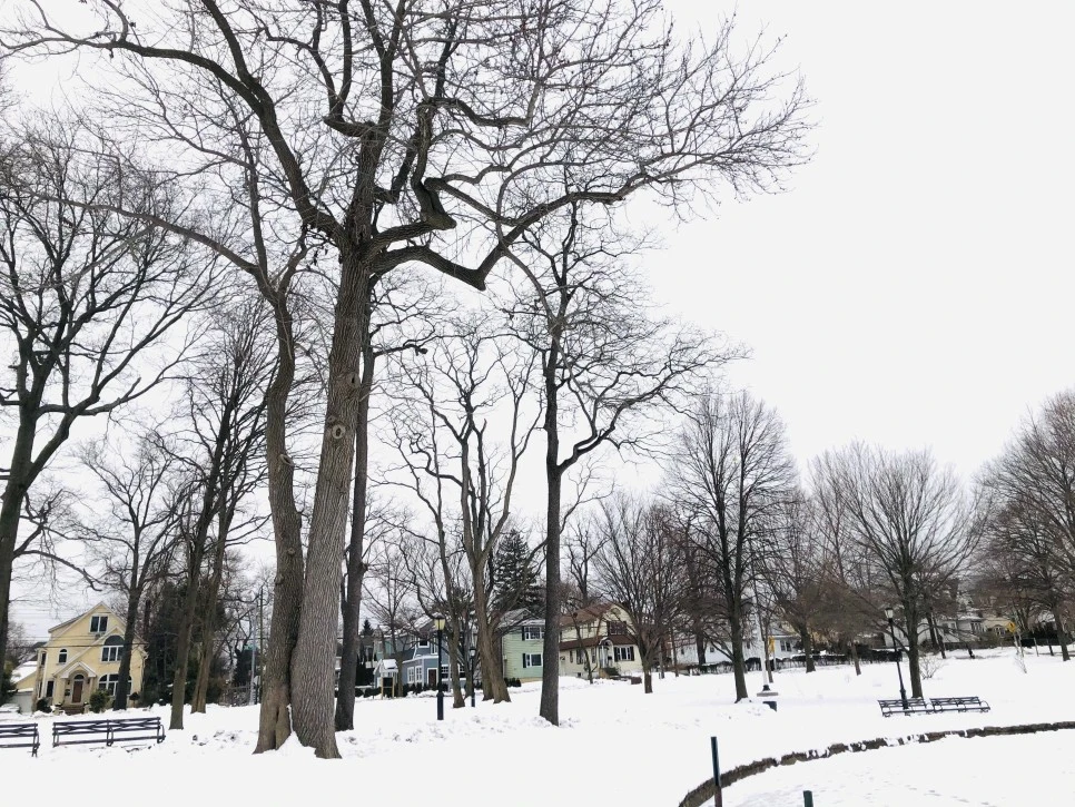 IMG_2708.jpg?type=w966