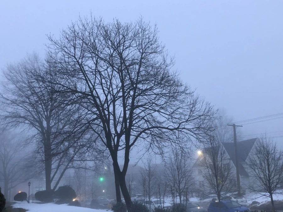 IMG_2784.jpg?type=w966