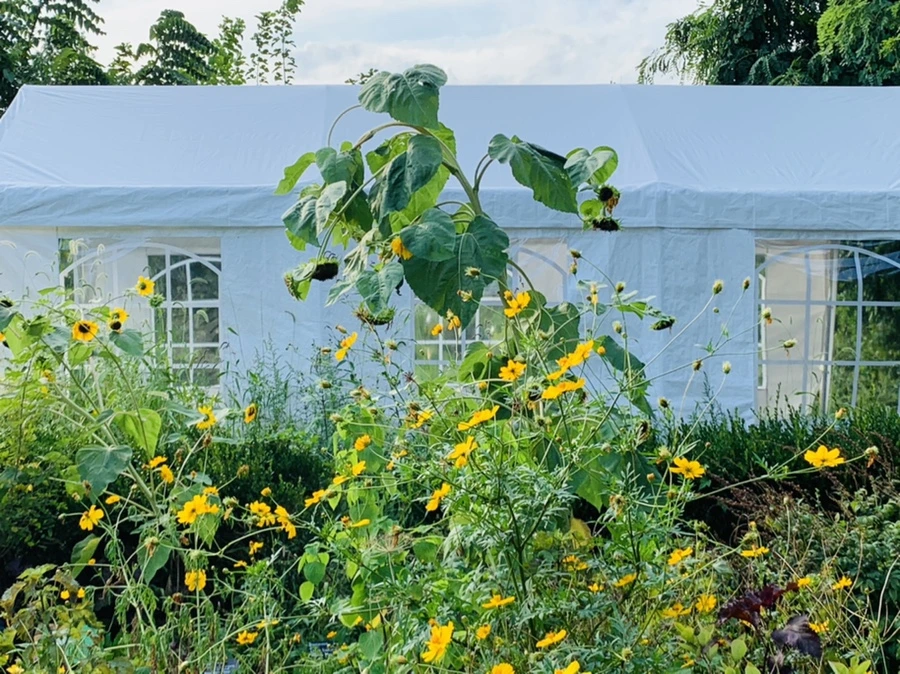 IMG_1245.jpg?type=w966