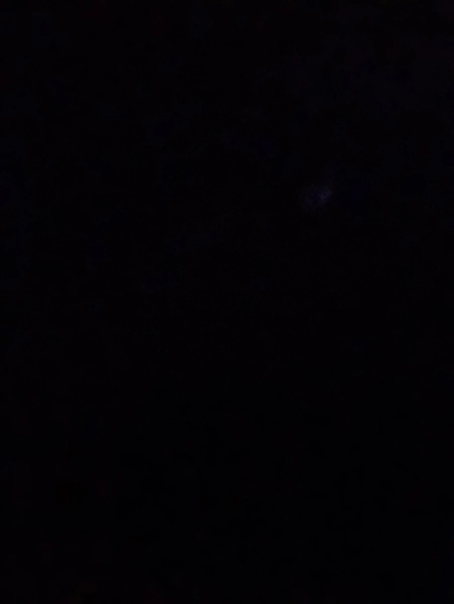 IMG_0103.jpg?type=w966